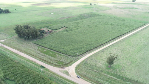 Imagen 26 de 30 de Quinta De 8 Has. A 1.800 Mts Ruta 226 - 100 % Agrícola
