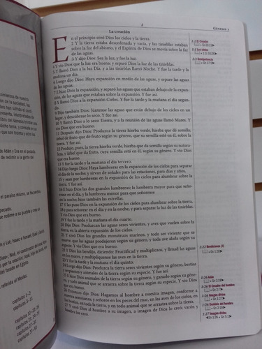 Imagen 10 de 10 de Biblia Thompson Edición Especial Para El Estudio Bíblico