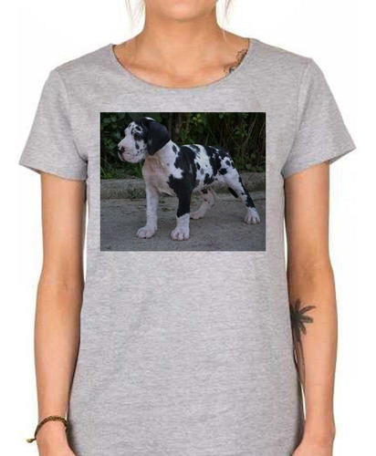 Remera De Mujer Perro Gran Danes Cachorro