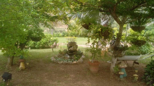 Venta De Finca En Lomas De Nirgua Yaracuy. - Inmobiliaria Maggi 1444