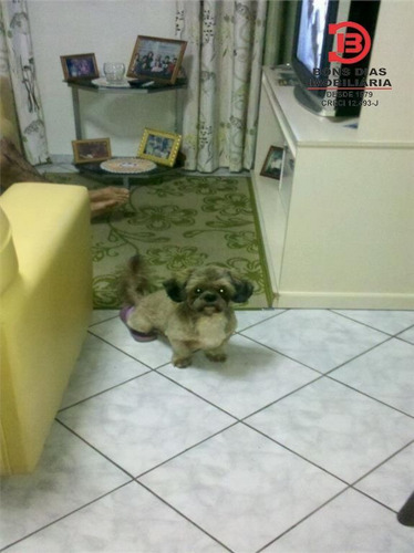 Imagem 10 de 15 de Apartamento - Guaianazes - Ref: 2786 - V-2786