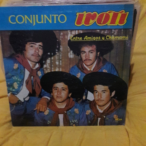 Vinilo Conjunto Ivoti Entre Amigos Y Chamame E F3