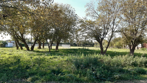 Terrenos Venta Correa 437 M2
