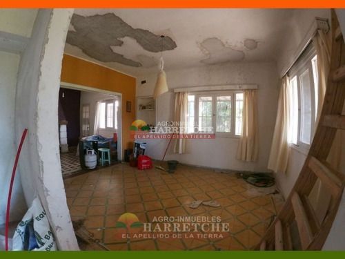 Imagen 21 de 29 de Chacra En Venta Melilla 3 Has