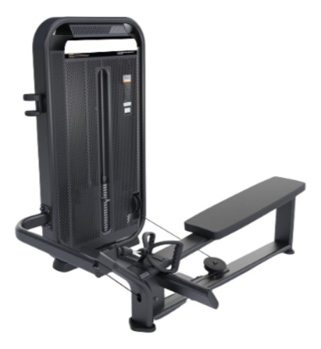 Maquina Espalda Remo bajo Long Pull Prestige Gfitness
