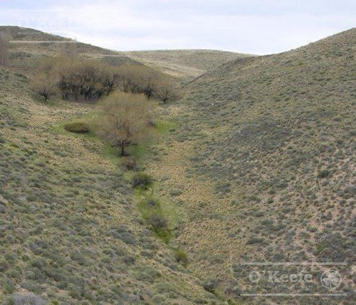 Campo En Venta De 635 Has Bariloche, Costa Del Pichileufu, Rio Negro.