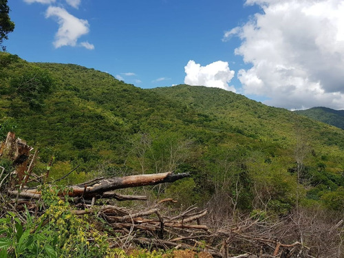 Terrenos En Venta En Vacacional Matua