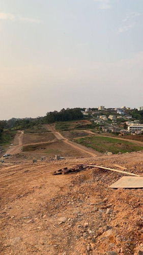 Imagem 11 de 11 de Terreno À Venda, 327 M² Por R$ 105.000,00 - Nossa Senhora Das Graças - Caxias Do Sul/rs - Te0244