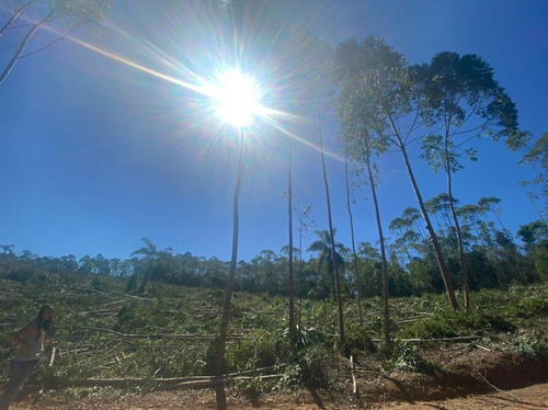 Imagem 9 de 10 de G07- Chácara Com O Melhor Preço
