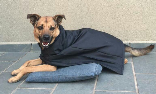 Cobertor Capa Manta Térmica Impermeável Para Cães