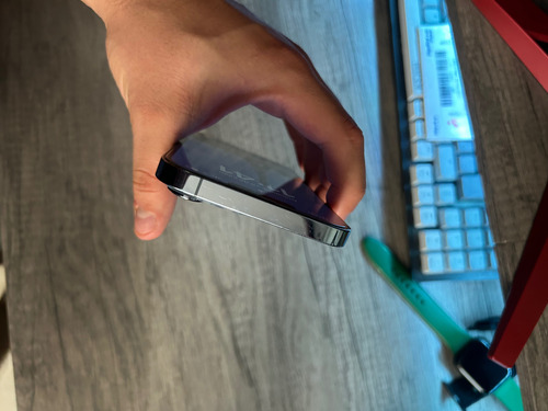 iPhone 13 Pro Max (Usado)