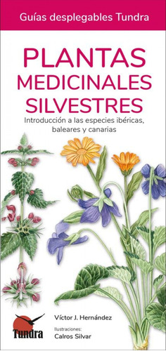Plantas Medicinales Silvestres - Hernandez Victor J 