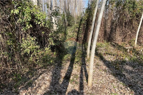 Venta De Terreno, Cuesta De Idahue, Coltauco