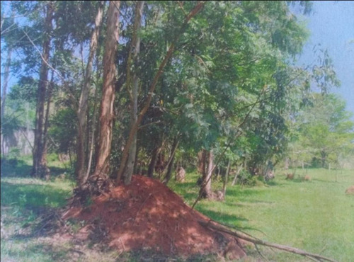 Imagem 3 de 8 de Terreno Amplo - Te2103