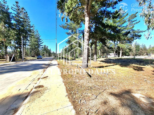 En Venta! Bella Parcela En Condominio A Minutos De Algarrobo