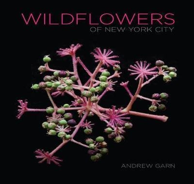 Wildflowers Of New York City - Andrew Garn