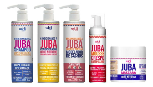 Kit Widi Care Juba Cond+sh+creme Pentear Encarac+masc+mousse