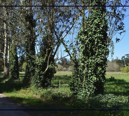 Imagen 5 de 5 de Venta Lote