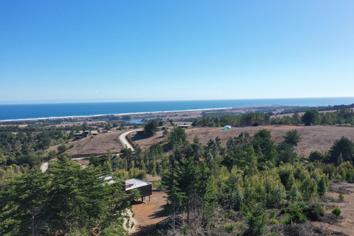 Mar Y Bosque Sobre Punta De Lobos