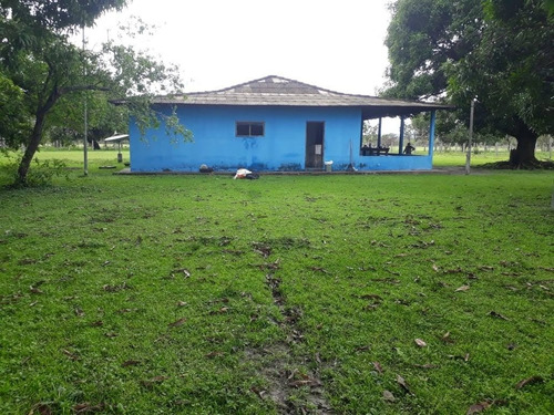 Vendo Fazenda De 1700hec Pecuaria/cultura Em Roraima (6096)