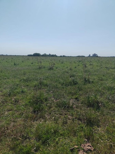 Imagen 8 de 11 de Campo - Talitas Gualeguaychu