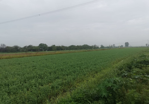 Imagen 14 de 14 de ¡terreno Exclusiva Zona De Inversión!, San Ildelfonso