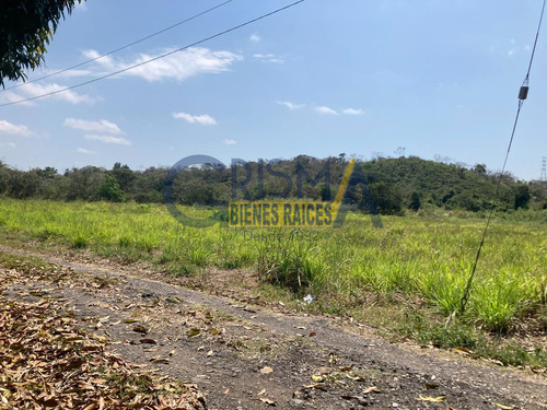 Terreno Campestre En Venta En Camino A Juana Moza