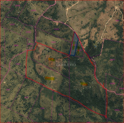 Imagen 29 de 29 de Maldonado Campo Con 150 Has Ganaderas En Aigua, 70 Kms De Punta, Serrano, Pintoresco, Con Instalaciones