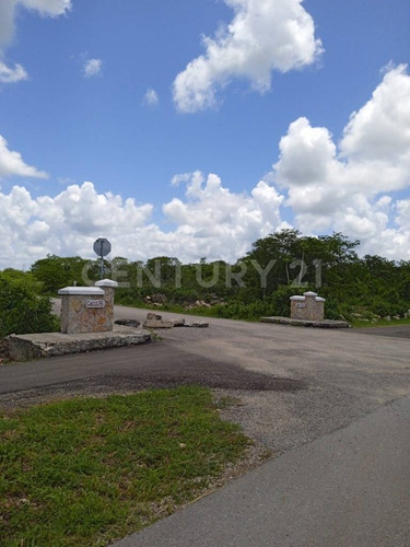 Terreno En Venta, En Chicxulub, Yucatán