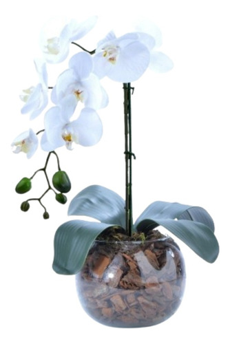 Arranjo De Orquídea Artificial Branca Em Aquário Nani