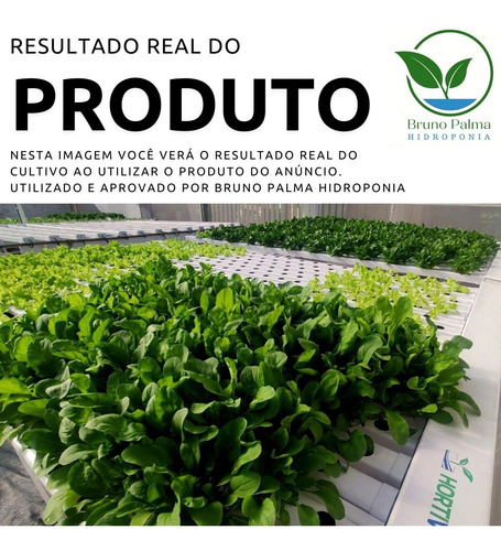 Imagem 3 de 4 de Adubo Completo Para Hidroponia 5000 Litros - Rúcula