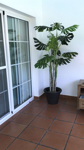 Imagen 12 de 18 de Apartamento En Cocotal