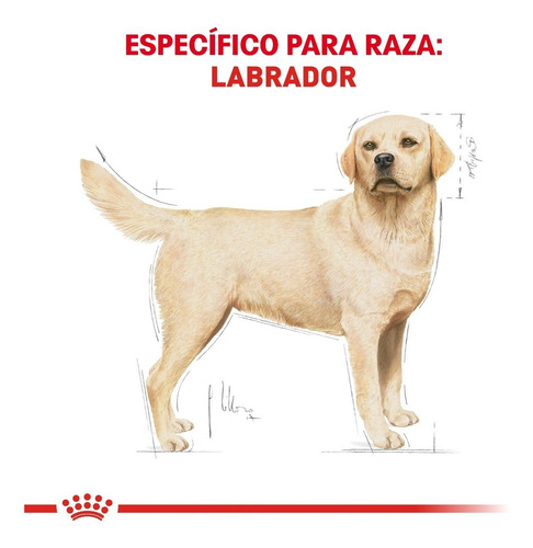 Imagen 2 de 6 de Royal Canin Labrador 13.6 Kg Nuevo Original Sellado