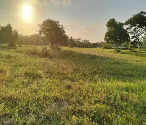 Lotes Conjunto Campestre La Bonga Sabanagrande Atlántico