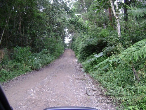 Imagem 6 de 8 de Terreno Residencial À Venda, Represa, Ribeirão Pires - Te3946. - Te3946
