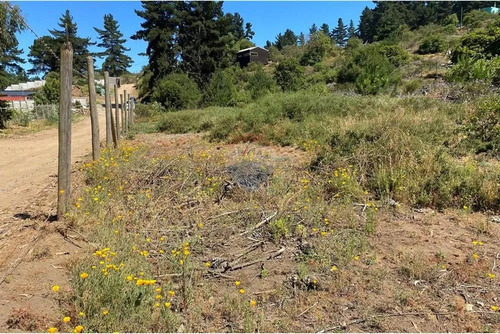 Terreno 1.500m² Alta Plusvalía En Reñaca Los Pinos