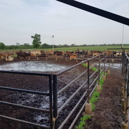 Imagen 10 de 14 de En Venta Finca Productiva En Dos Caminos Guárico
