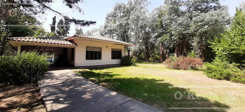 Imagen 2 de 20 de Quinta En Venta En Abasto 4180 Mts. Con Muy Buena Forestación