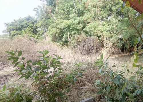 Imagen 6 de 6 de Terreno En Venta Sobre Avenida Comercial En Cuernavaca