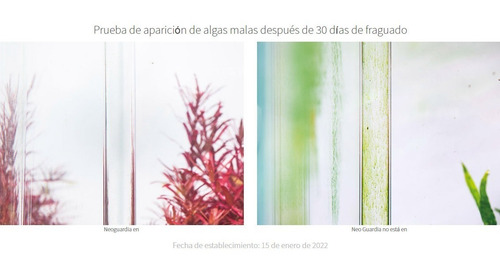 Neo Guard Evita Algas Elimina Exceso De Fosfato