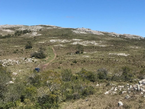 Imagen 9 de 19 de Venta, Chacras De 5 Hectáreas, Maldonado.