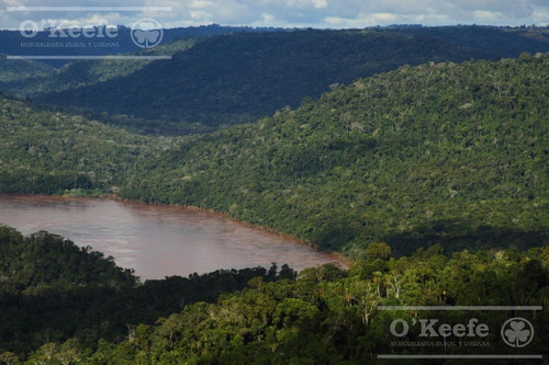 Imagen 1 de 30 de Grandes Extensiones De Bosque Nativo En Misiones - Bonos Verdes- Ideal Conservacionistas