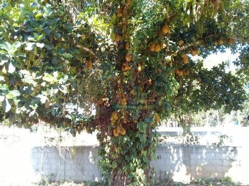 Imagem 17 de 19 de Chácara Com 2 Dormitórios, 1200 M² - Venda Por R$ 1.300.000,00 Ou Aluguel Por R$ 4.212,00/mês - Maranduba - Ubatuba/sp - Ch0472