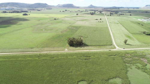 Imagen 4 de 30 de Quinta De 8 Has. A 1.800 Mts Ruta 226 - 100 % Agrícola