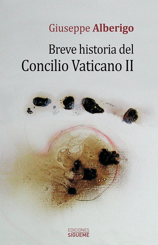 Libro Breve Historia Del Concilio Vaticano Ii