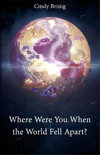 Where Were You When The World Fell Apart?, De Cindy Brinig. Editorial Dorrance Publishing Co., Tapa Blanda En Inglés