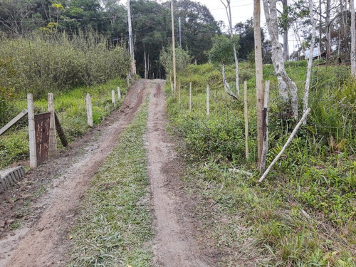 Imagem 16 de 28 de Terreno - Te00030 - 68403756