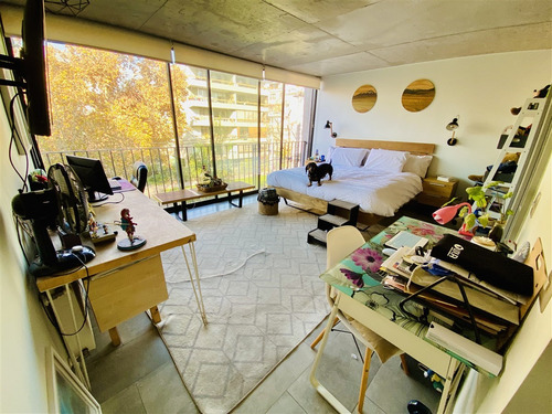 Triplex En Arriendo 1d,2b,1est,1bd,terraza. En Providencia