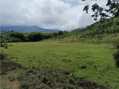 Se Vende Finca Vía Barragan - Rio Verde