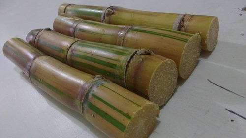 Cana Caiana Orgânica Muito Doce Para Caldo Kit 60 Gemas